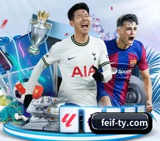 我们在做什么(feifan sports)